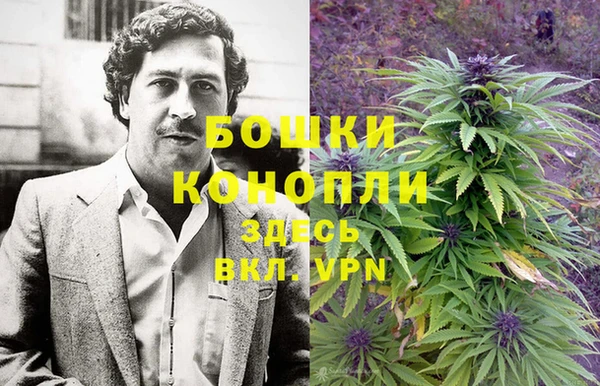 прущая мука Вяземский