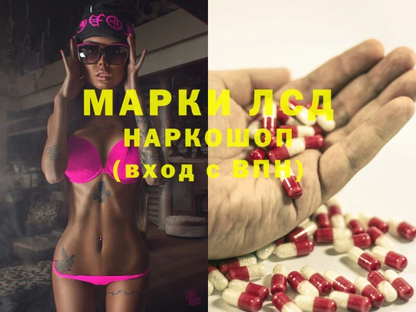 дживик Бородино