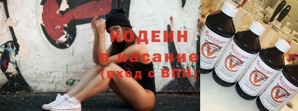 прущая мука Вяземский