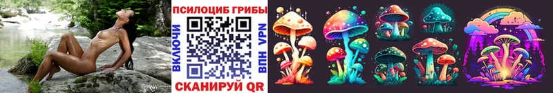 mega онион  Заречный  Галлюциногенные грибы MAGIC MUSHROOMS  наркотики 